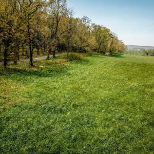 Photo #13 of TBD GRASSLAND LN, BROADWAY, VA 25.8 acres