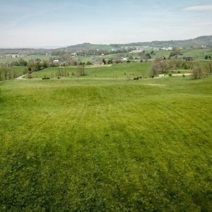 Photo #12 of TBD GRASSLAND LN, BROADWAY, VA 25.8 acres