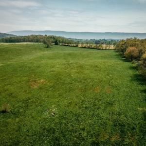 Photo #18 of TBD GRASSLAND LN, BROADWAY, VA 25.8 acres