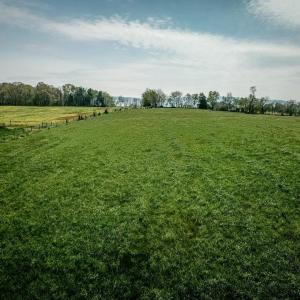 Photo #26 of TBD GRASSLAND LN, BROADWAY, VA 25.8 acres