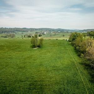 Photo #4 of TBD GRASSLAND LN, BROADWAY, VA 25.8 acres
