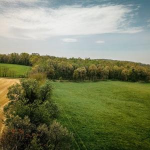 Photo #3 of TBD GRASSLAND LN, BROADWAY, VA 25.8 acres