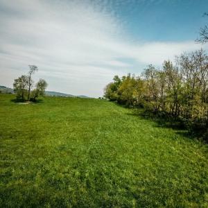 Photo #15 of TBD GRASSLAND LN, BROADWAY, VA 25.8 acres