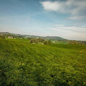 Photo #14 of TBD GRASSLAND LN, BROADWAY, VA 25.8 acres