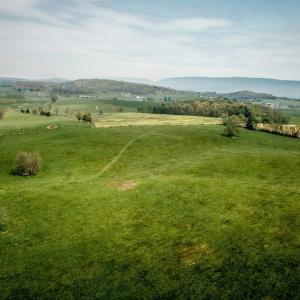 Photo #17 of TBD GRASSLAND LN, BROADWAY, VA 25.8 acres
