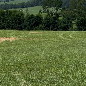 Photo #2 of TBD ROUDABUSH LN, CHURCHVILLE, VA 3.8 acres