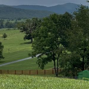 Photo #4 of TBD ROUDABUSH LN, CHURCHVILLE, VA 3.8 acres