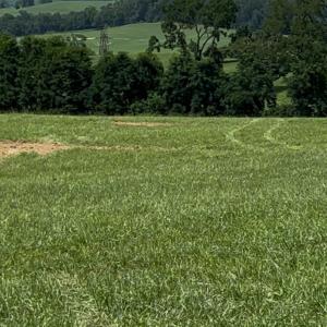 Photo #3 of TBD ROUDABUSH LN, CHURCHVILLE, VA 3.8 acres