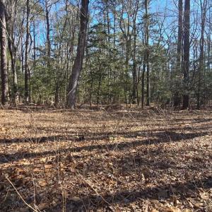 Photo #13 of Lot 16 LUCAS TR, MACHIPONGO, VA 3.8 acres