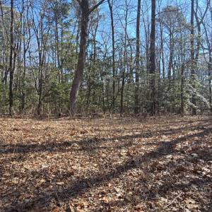 Photo #14 of Lot 16 LUCAS TR, MACHIPONGO, VA 3.8 acres
