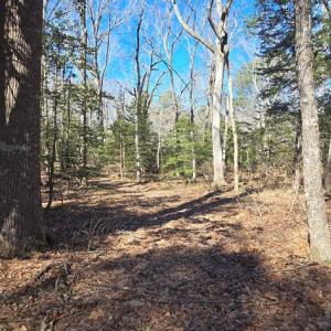 Photo #2 of Lot 16 LUCAS TR, MACHIPONGO, VA 3.8 acres