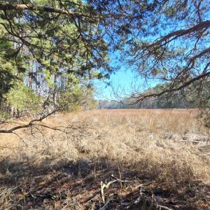 Photo #20 of Lot 16 LUCAS TR, MACHIPONGO, VA 3.8 acres