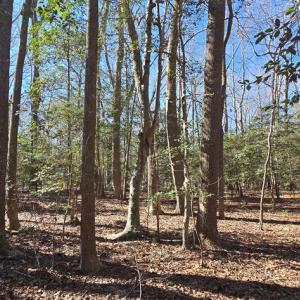 Photo #23 of Lot 16 LUCAS TR, MACHIPONGO, VA 3.8 acres