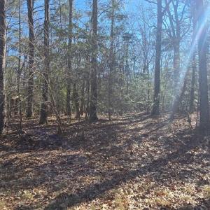 Photo #10 of Lot 16 LUCAS TR, MACHIPONGO, VA 3.8 acres