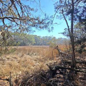 Photo #21 of Lot 16 LUCAS TR, MACHIPONGO, VA 3.8 acres