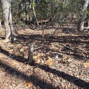 Photo #24 of Lot 16 LUCAS TR, MACHIPONGO, VA 3.8 acres