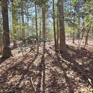 Photo #25 of Lot 16 LUCAS TR, MACHIPONGO, VA 3.8 acres