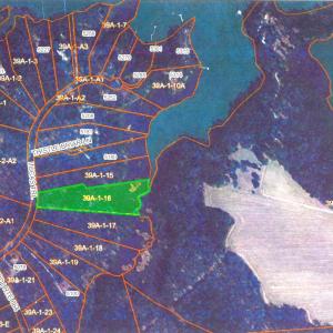 Photo #4 of Lot 16 LUCAS TR, MACHIPONGO, VA 3.8 acres