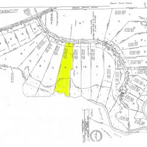 Photo #5 of Lot 16 LUCAS TR, MACHIPONGO, VA 3.8 acres
