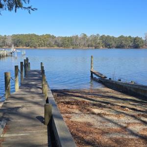 Photo #6 of Lot 16 LUCAS TR, MACHIPONGO, VA 3.8 acres