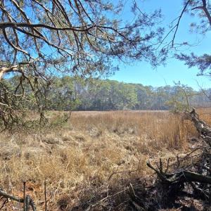 Photo #9 of Lot 16 LUCAS TR, MACHIPONGO, VA 3.8 acres