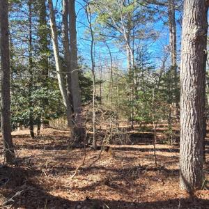 Photo #11 of Lot 3 PEACEFUL LAKES DR, EXMORE, VA 1.5 acres