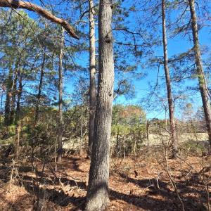 Photo #12 of Lot 3 PEACEFUL LAKES DR, EXMORE, VA 1.5 acres