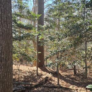 Photo #15 of Lot 3 PEACEFUL LAKES DR, EXMORE, VA 1.5 acres