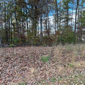 Photo #3 of LOT 9 RAINBOW RIDGE, BUMPASS, VA 0.9 acres