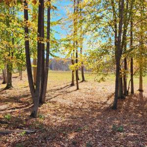 Photo #17 of LOT 9 RAINBOW RIDGE, BUMPASS, VA 0.9 acres