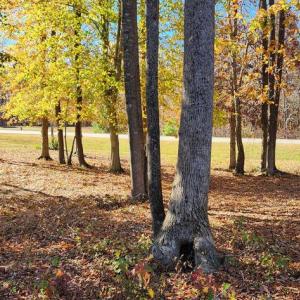 Photo #18 of LOT 9 RAINBOW RIDGE, BUMPASS, VA 0.9 acres