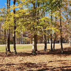 Photo #19 of LOT 9 RAINBOW RIDGE, BUMPASS, VA 0.9 acres