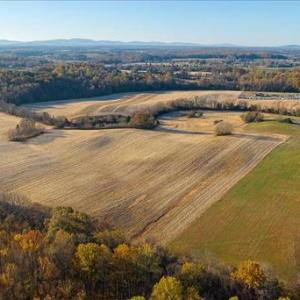 Photo #2 of 92 SEMINOLE TRL, MADISON, VA 91.9 acres