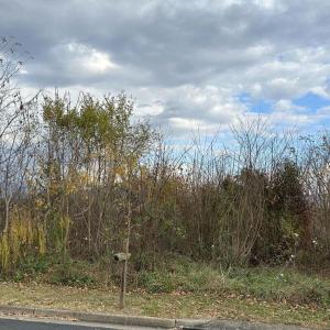 Photo #3 of INDEPENDENCE DRIVE, LURAY, VA 0.4 acres