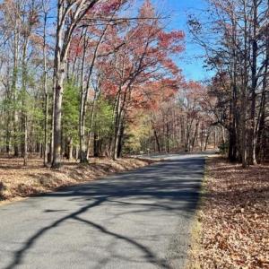 Photo #2 of EGYPT BEND ROAD, LURAY, VA 0.3 acres