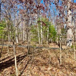 Photo #3 of EGYPT BEND ROAD, LURAY, VA 0.3 acres