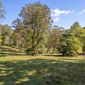 Photo #18 of 4800 FIERY RUN RD, LINDEN, VA 408.7 acres