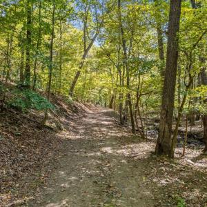 Photo #28 of 4800 FIERY RUN RD, LINDEN, VA 408.7 acres