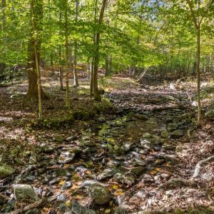 Photo #29 of 4800 FIERY RUN RD, LINDEN, VA 408.7 acres