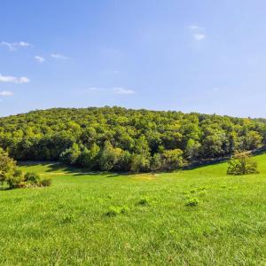 Photo #3 of 4800 FIERY RUN RD, LINDEN, VA 408.7 acres