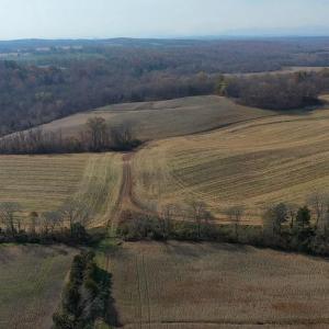 Photo #8 of 8184 FOX GROVES RD, REMINGTON, VA 1,233.2 acres