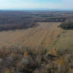 Photo #9 of 8184 FOX GROVES RD, REMINGTON, VA 1,233.2 acres