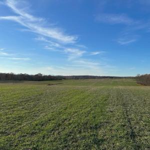 Photo #14 of 8184 FOX GROVES RD, REMINGTON, VA 1,233.2 acres