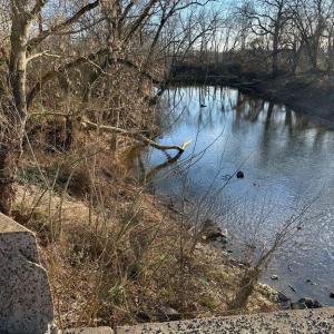 Photo #20 of 8184 FOX GROVES RD, REMINGTON, VA 1,233.2 acres