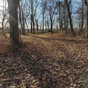 Photo #26 of 8184 FOX GROVES RD, REMINGTON, VA 1,233.2 acres