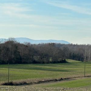 Photo #27 of 8184 FOX GROVES RD, REMINGTON, VA 1,233.2 acres