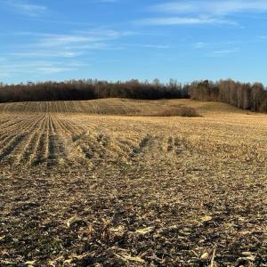 Photo #28 of 8184 FOX GROVES RD, REMINGTON, VA 1,233.2 acres