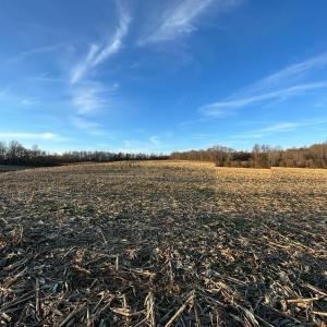 Photo #29 of 8184 FOX GROVES RD, REMINGTON, VA 1,233.2 acres