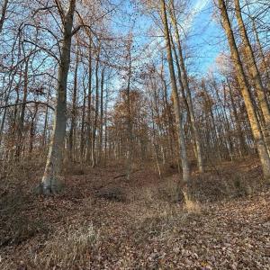 Photo #30 of 8184 FOX GROVES RD, REMINGTON, VA 1,233.2 acres