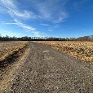 Photo #31 of 8184 FOX GROVES RD, REMINGTON, VA 1,233.2 acres